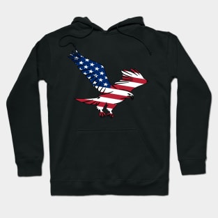 American Eagle Adler of America Hoodie